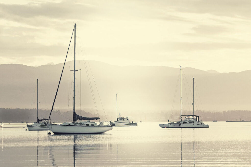 보트Boat