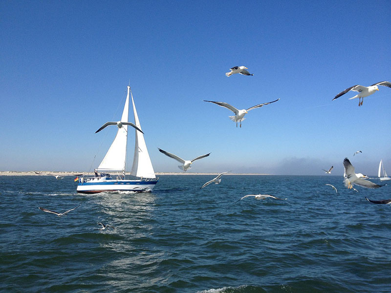 보트 Boat