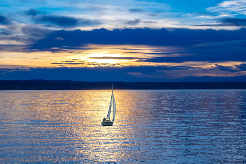 보트 Boat
