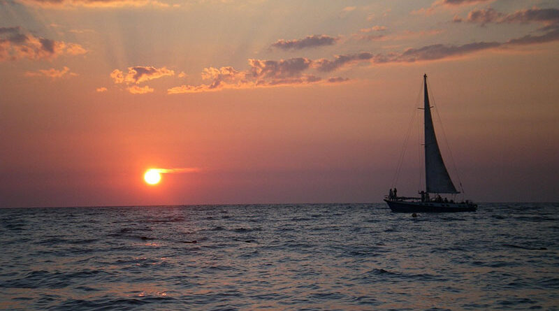 보트 Boat