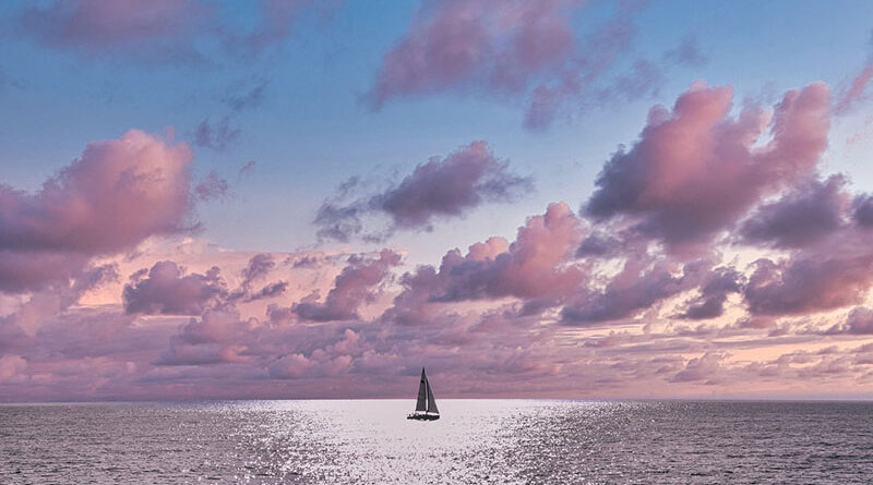 보트 Boat