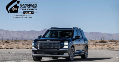 현대자동차 팰리세이드